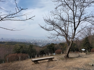 2026-02-14 11.50.37.jpg